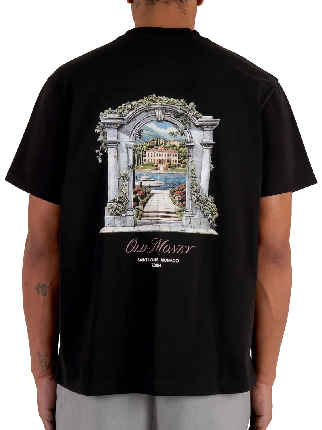 OLD MONEY VIEW TEE